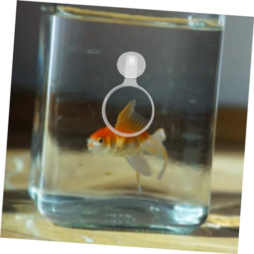 DECHOUS Aquarium Glass Cup for Detailed Observation of Small Animals and Plants Fish Tanks Easy to Install for Betta Fish Landscapes