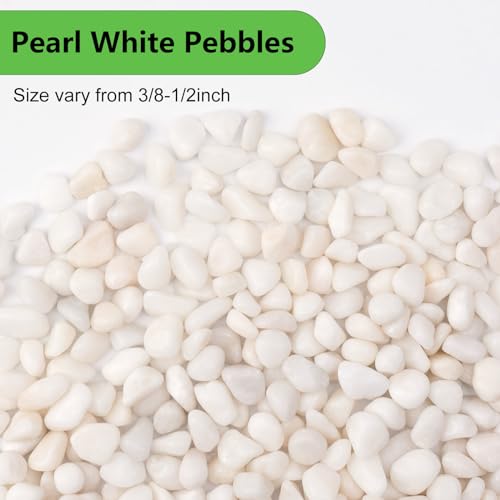 Pulovin 5 lbs White Pebbles for Vases, 3/8" Small Plant Rocks for Pots Indoor, Decorative Pea Gravel for Succulents, Bamboo, Terrarium, Landscape, Garden - color: White