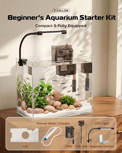 Glass Fish Tank Kit, 3 Gallon Betta Fish Tank Aquarium Starter Kit with Filter, Lights, Lid, for Betta, Goldfish, Small Fish or shrimg，Clear - color: Transparent, size: 3 Gallon