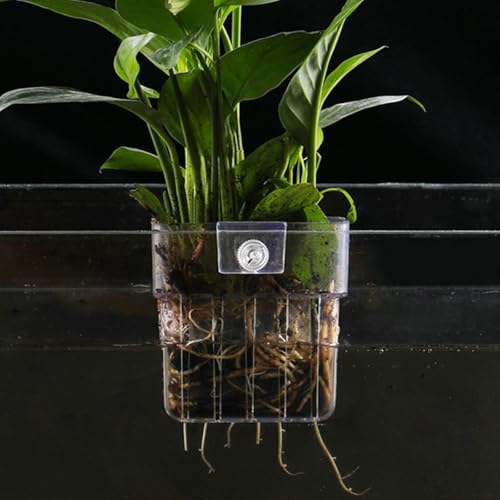 Aquarium Plant Holders, Transparent Fish Tank Pots Hanging Planter Basket Aquatic Cup for Fish Tank Hydroponic