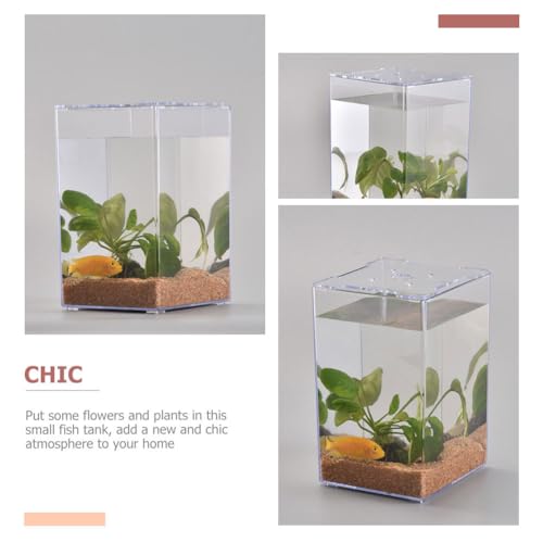 Ipetboom Small Acrylic Fish Tank 7.5 Inch Mini Desktop Aquarium Fish Box for Betta Home Office Decor