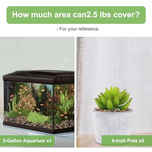 Pulovin 2.5 lbs Drainage Rocks for Potted Plants, 1/5 Inch Small Pebbles for Indoor Plants, Decorative Gravel for Vases, Bamboo, Succulent, Terrarium, Crafts, Cactus - color: Colored