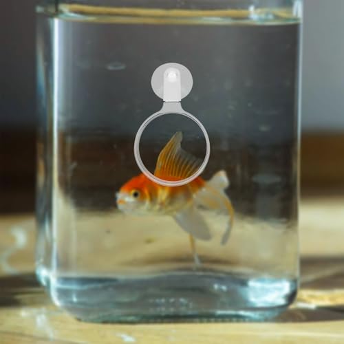 Aquarium Magnifier with Suction Cup Sturdy Viewing Tool for Fish Tank Observation for Small Animals Plants and Micro Landscapes for Enthusiasts
