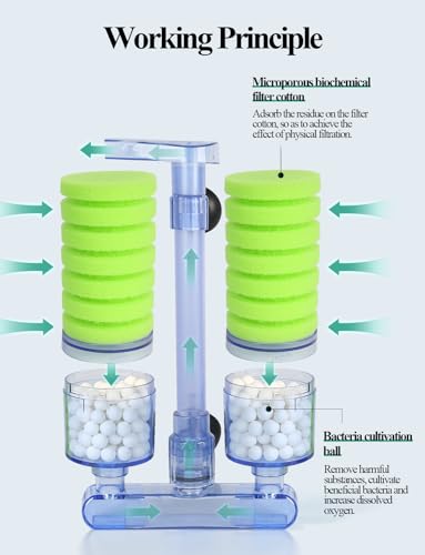 UPETTOOLS Aquarium Biochemical Sponge Filter（M）, Ultra Quite Aquarium Air Pump Double Head Bio Sponge Fish Tank Foam Filter,15-50 Gallon