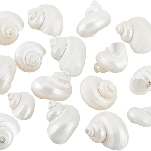 PH PandaHall 16pcs Natural Spiral Shell Beads, 0.8~1.1 Inch Mouth Turbo Seashells Undrilled Hermit Crab Shells NO Hole Shells for Home Party Wedding Decor Fish Tank Vase Filler, White