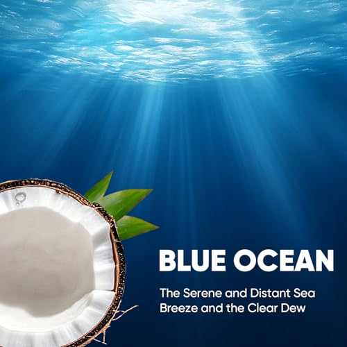 30Ct Aromative Toilet Brush Refills, Toilet Bowl Cleaner Refills, Double-Layer Cleaning Pads Added, Compatible with Most Toilet Brushes，Blue Ocean（Patented） - color: Blue Ocean