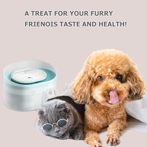 20 Pack Dog Water Fountain Replacement Filters for Petlibro Capsule Dog Fountain PLWF008,Pet Water Fountain Filter with Replacement Pre-Filter Pump Sponges with 1 Hard Brush.