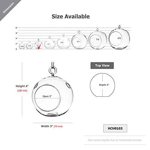 WGV Hanging Terrarium Globe, Width 3", Height 4", DIY Air Succulent Planter, Clear Glass Vase Orb with Flat Bottom, Candle Holder for Windowsill Outdoor Garden Decor, 6 Pieces Bulk - size: 3" Flat Bottom