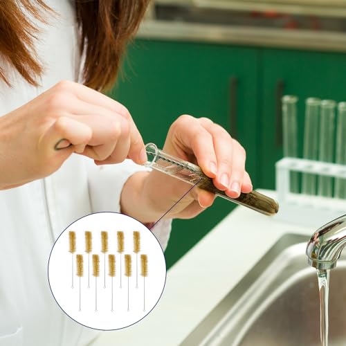 Labasics Test Tube Brushes, 10 Pack Bristle Test Tube Bottle Wash Cleaning Brushes with Radial Tufted End Suitable for Laboratory Use, Size L - size: Large