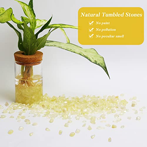 QICQDRAM Polished Gem Stones Rocks Crystals 0.9 Lb/405g Tumbled Stones Citrine Crystal Chips Bulk for Healing Crystals & Fish Tank Rocks Gravel, Vase Filler, Plants Decor - color: Citrine