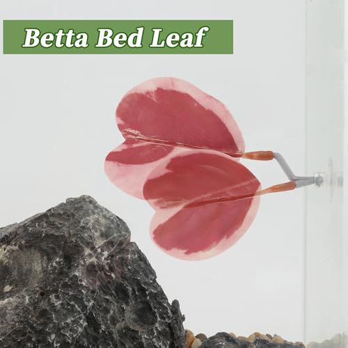 Betta Fish Bed, Betta Leaf Bed, Plastic Betta Heart-Shaped Hammock, Betta Hammock Pad with Suction Cup, Betta Fish Resting Place Betta Fish Supplies Aquarium Decor, Pink - color: Pink