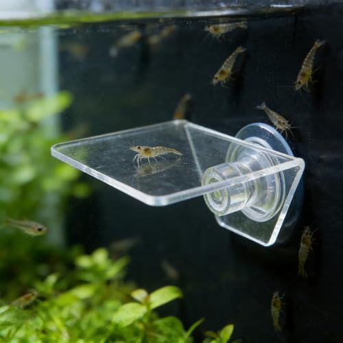Aquarium Floating Shelf: Fish Tank Acrylic Ledge Plants Holder with Suction Cup - 4x3.2x2in Transparent Ledge for Aquarium Coral Aquatic Plants Moss - size: 10.00X8.00X5.00CM