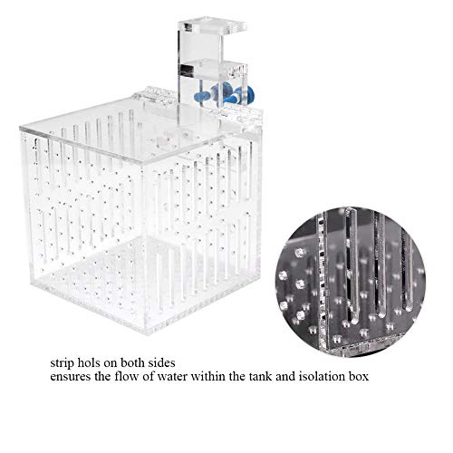 Fish Breeding Box, 4.13 * 4.13 * 4.13 inch Acrylic Fish Isolation Box with Suction Cups, Aquarium Acclimation Hatchery Incubator Fish Tank Multifunctional Acrylic High Clear Fish