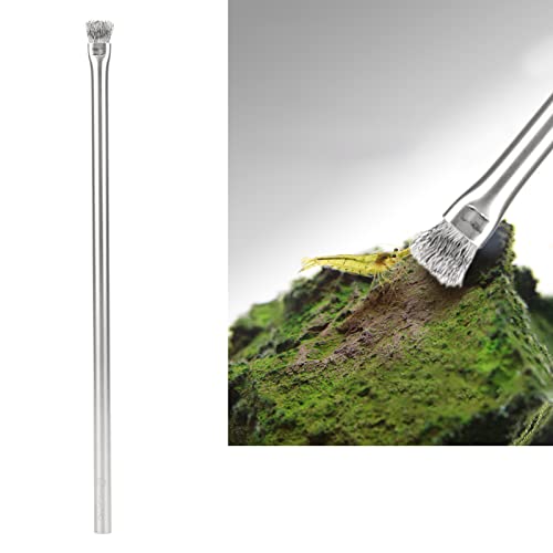 PENO Wire Bristles Brush, Professional Aquarium Brush 304 Stainless Steel for Fish Tank for Wood Hard 23cm/9.1in