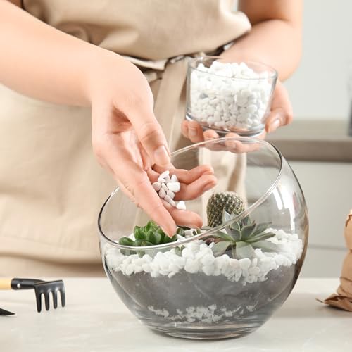 Mr. Fireglass 10 lbs White Pebbles,1/5" Natural Decorative River Rocks Aquarium Gravel for Indoor Plants, Vases, Succulents and Outdoor Garden Landscaping (Pack of 2) - color: White, size: 10 Pounds (Pack of 2)