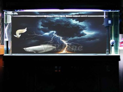 VIP. LINE Lightning Cloud Aquarium Background Poster PVC Self Adhesive Vivid Underwater Scene Decoration Landscape of Fish Tanks, Reptile Habitat Tanks (60" x 30"/ 152 x 76cm) - size: 60" x 30"/ 152 x 76cm