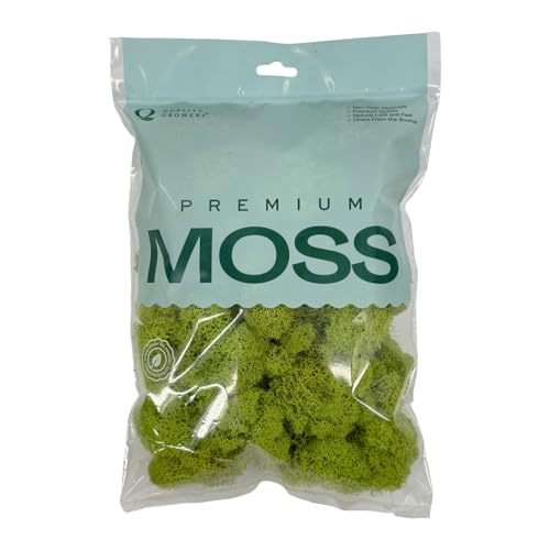 Preserved Reindeer Moss - Moss for Crafts, Home Decor, Art, Design & DIY Projects - Non-Toxic - USA Made (Chartreuse, Small) - color: Chartreuse, size: Small