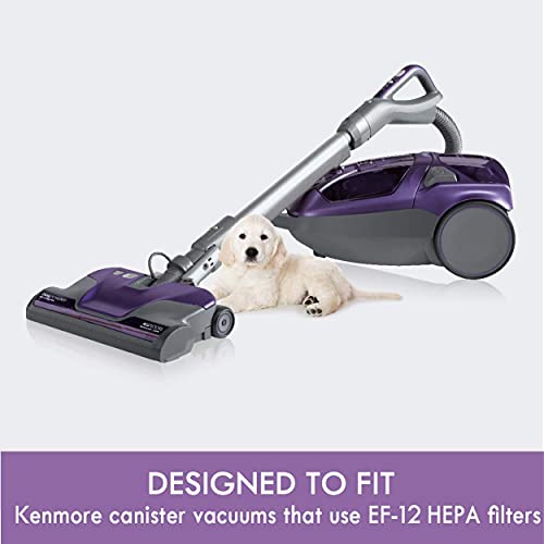 Kenmore 62731 HEPA Media Vacuum Cleaner Exhaust Air Filter for Canister Vacuum 81615, BC4039 - style: 62731