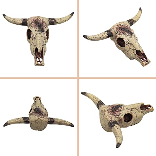 Oooct Bearded Dragon Tank Decor Accessories, Resin Cattle Skull Reptiles Hideouts Decorations, Decor Statue for Fish Aquarium Cave Landscape - color: A, size: Small