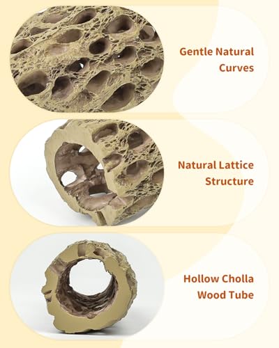 Uniclife Shrimp Hides for Aquarium, Shrimp Cave, Realistic Resin Aquarium Hollow Cholla Wood Decorations, Shrimp Hideout Tank Accessories for Fish Tank Decor, Hiding & Resting,2pcs - size: 2 PC