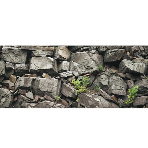 24X12IN Stone Aquarium Background, Rock Fish Tank Background, Natural Rocky Glass Terrarium Background with 8 EVA Double-Sided Tape - color: Stone, size: 24X12in/60X30cm