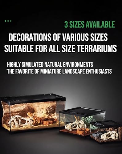 CLEEN T-Rex Skull Reptile Hide - Dinosaur Bone Terrarium Decor for Lizards Snakes Bearded Dragon, Realistic Fossil Cave Aquarium Tank Accessories (Small)