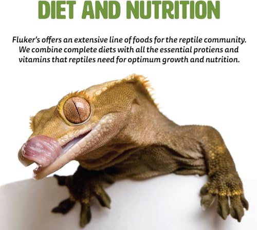 Fluker's Freeze Dried River Shrimp, Nutrient-Packed, Ideal for Lizards, Reptiles, Birds, Fish, Hedgehogs, 1 Oz
