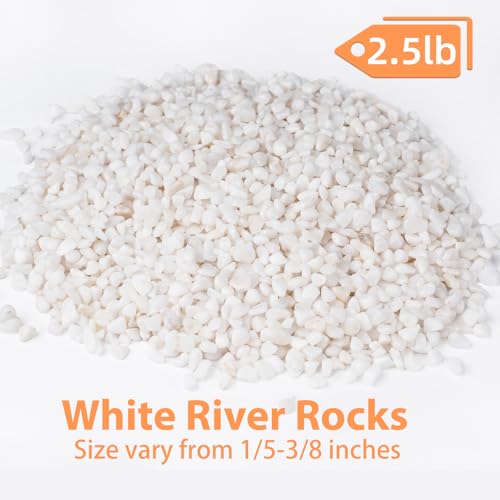 Pulovin 2.5 lbs White Aquarium Gravel, 1/5 Inch White Rocks for Plants, Small Pebbles for Vases, Succulents, Bamboo, Natural Decorative Pebbles for Plants Drainage, Cactus, Crafts - color: White