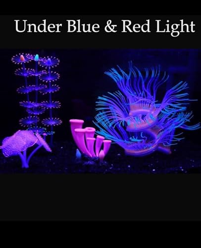 ZtohPyo 4 Pieces Aquarium Fish Tank Decorations with Glowing Effect, Silicone Glow Artificial Ornament Coral Reef Plants for Aquarium Decoration Small and Large Fish Bowl Decor Accessories