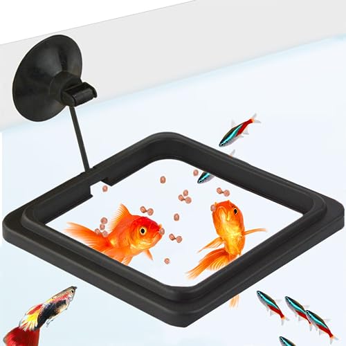 SunGrow Fish Food Feeding Ring, Stop Water Turbulence from Washing Food & Floating Plants into Filtration System, Suitable for Flakes & Floating Fish Pellets (3 Pieces) - size: 3 Pieces
