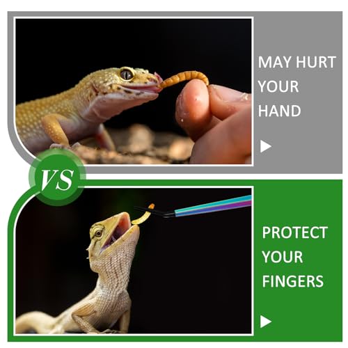Lasnten 2 Pcs Extra Long Stainless Steel Reptile Feeding Tongs with Rubber Tip 15 Inch Bearded Dragon Aquarium Straight and Curved Long Tweezer Terrarium Feeder Tool for Tank (Colorful) - color: Colorful, size: 15 Inch