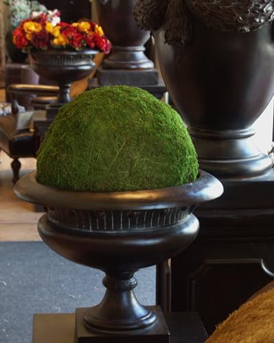 SuperMoss (25542 Moss Balls, Fresh Green, 6" (3 Pack) - color: Fresh Green, size: 6" (3 pack)