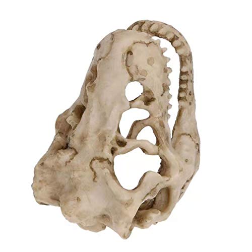 2Pcs Aquarium Decoration - Small Resin Dinosaur Skull Skeleton Fish Tank Cave Pet Reptile House Decoration