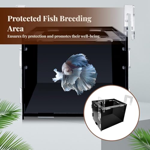 Fish Breeder Box Isolation Box Transparent Separator Easy Installation Hatchery Incubator for Baby Fish Betta Guppy, 15x15x15cm - size: 15x15x15cm