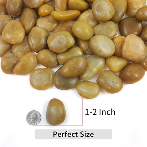 YISZM Rocks for Plant 2lbs, Yellow River Rocks 1-2 Inch Natural Pebbles for Indoor Plants, High Polished Decorative Stones Vase Filler Fish Tank Aquariums Landscaping Garden - color: Yellow, size: 2 Pounds