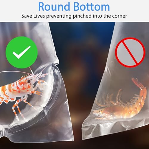 Fish Bags 100 Packs, 4x10" Round Bottom Double Seal Clear Live Fishes Bags Fish Transport Container for Small Fishes and Shrimp (Ultimate 3 mil, 100 Pack) - color: 4x10”, 100Pcs