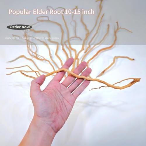 Azil Natural Aquarium Driftwood Root – Driftwood for Aquarium Decor, 170g~0.38lb (14″–16″), Fish Tanks, Terrariums, Aquascaping & Planted Tanks - size: Root mix 14 - 16 inch