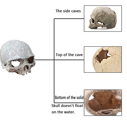 Tfwadmx Aquarium Skull Decor, Resin Fish Tank Decorations Aquarium Shrimp Cave Betta Fish Hiedout Reptile House for Small Fish,Shrimp