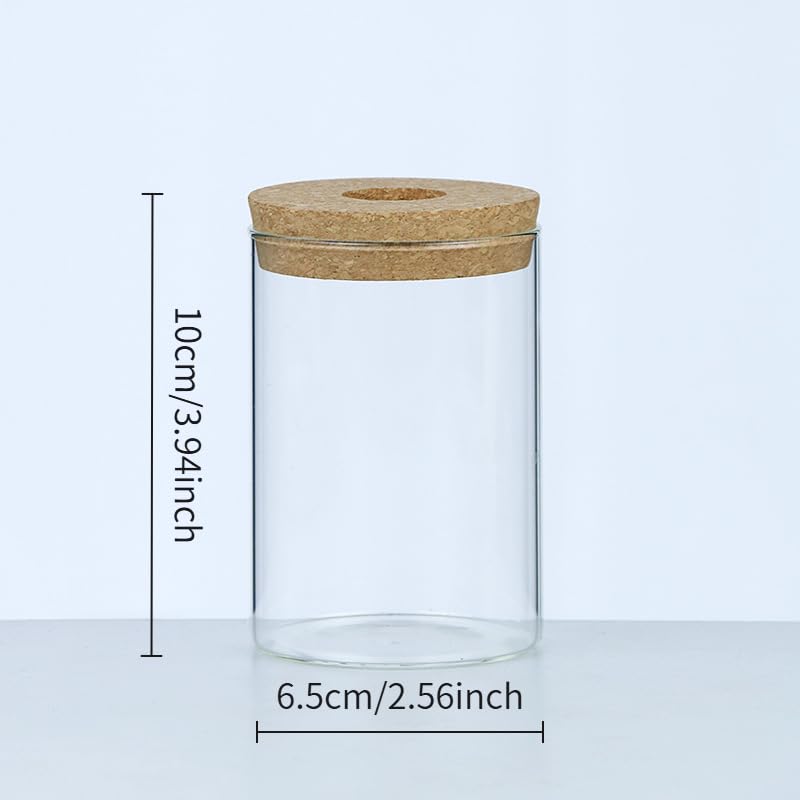 Borosilicate Glass Hydroponic Planter With Natural Wooden Lid Clear Cylinder Vase Transparent Root Viewing Suitable For Desktop Display Water Growing Plants Small Aquarium Use Or Minimalist Home Decor
