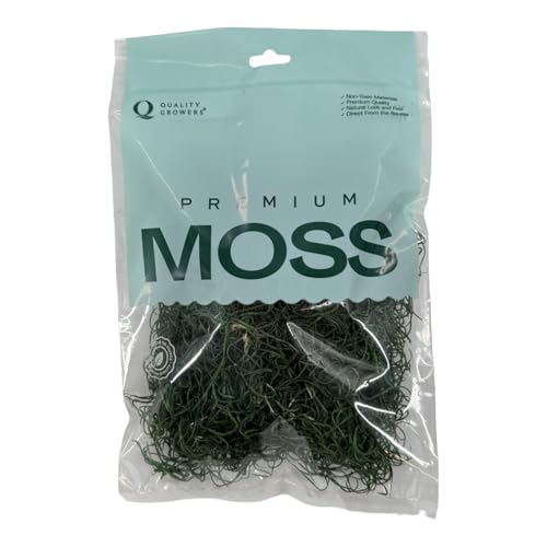Preserved Spanish Moss - Decorative Dried Moss for Crafts, Home Decor, Art, Design & DIY Projects - for Indoor Use - Forest Green - Small Size - color: Forest Green, size: Small