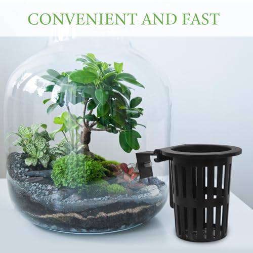 TOYANDONA 2pcs Hydroponic Sweet Potato Baskets Wall Hanging Plant Holder for Fish Tank Decorative Woven Basket Wall Decor