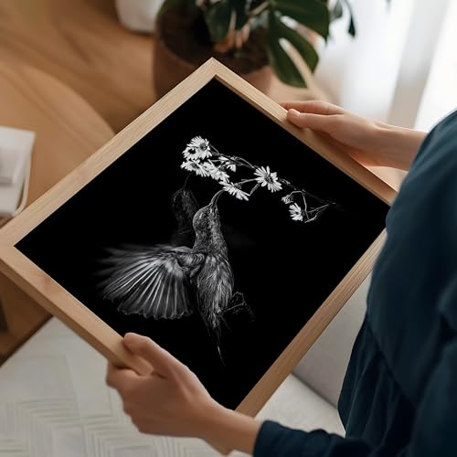 Monem Art Hummingbird & Cluster of Daisies Print - Motion Poster - Wildlife & Nature Art - Floral Living Room or Office Decor - 12x16 Unframed Wall Art by Andi Halil - color: Style-08, size: 12"L x 16"W