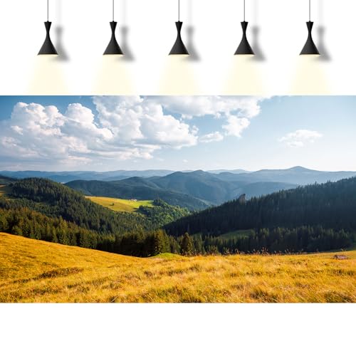 Mountain Valley Aquarium Background Cloudy Blue Sky Pine Trees Fish Tank Background Mountain Peaks Nature Landscape Reptile Enclosure Backgrounds Sunny Countryside Meadow Tank Backgrounds 24x12in - color: Green_Brown, size: 24(W)x12(H)inches/ 60(W)*30cm(H