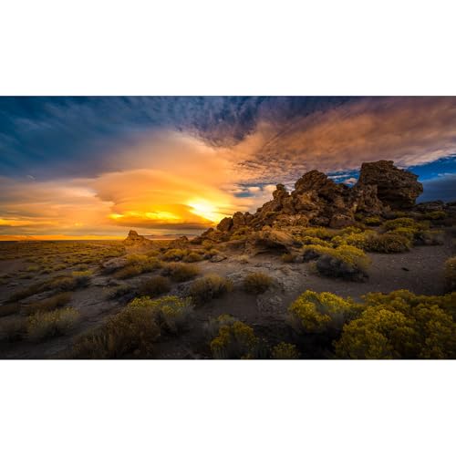 Reptile Terrarium Background Sunset Rock Formations Terrarium Background Reptile Tank Background Desert Thorns Rocky Bush Reptile Habitat Background Bearded Dragon Tank Aquarium Background 24x12in - color: Oasis Green, size: 24(W)x12(H)inches/ 60(W)*30cm(