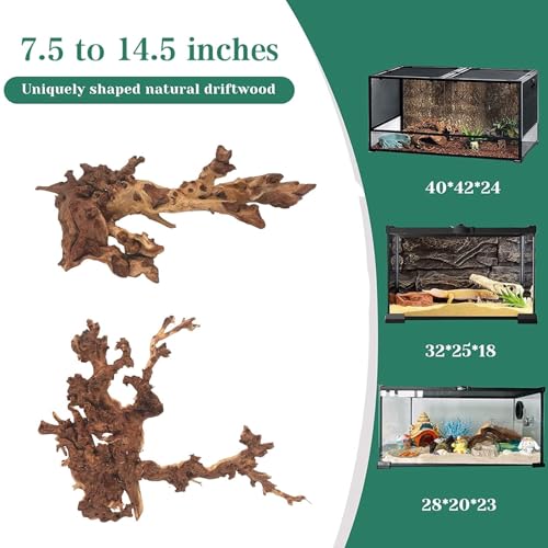 PINVNBY Natural Large Driftwood for Aquarium Fish Tank Decorations, Driftwood for Reptile Tank Bearded Dragon Tank Accessories Terrarium Decor (7.5 to 14.5 inches / 2 Pack) - size: L:Mopani Driftwood (7.5 to 14.5 inches/2 Pack)