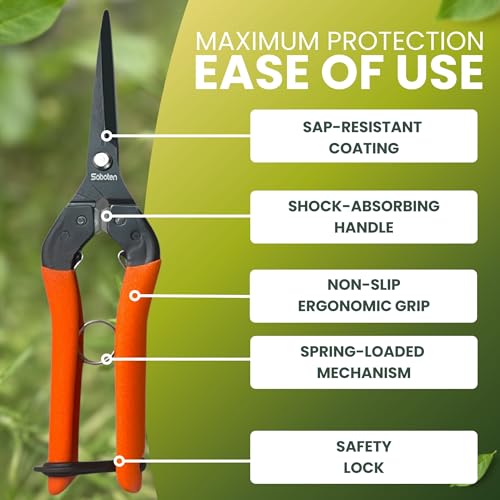 Saboten 7.9" Professional Japanese Harvesting Shears, Straight Precision Blade, Black Fluorine-Coated Stainless Steel, Spring-Loaded, Shock-Absorbing Grip, Safety Lock, Made in Japan