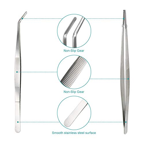 2Pcs Stainless Steel Feeding Tongs, Reptile Feeding Tweezers Long Handle Feeder Tools, Bug Feeding Clamp Cricket Tongs for Fish Aquariums, Reptiles Snakes Lizard Gecko Spider and Bird (Set 1)