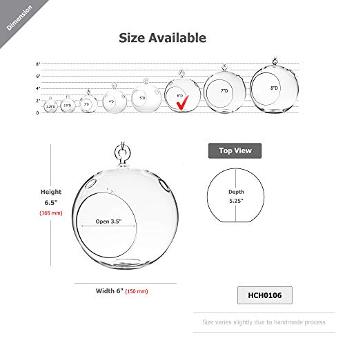 WGV Hanging Terrarium Globe, Width 6", Height 6.5", DIY Air Succulent Planter, Clear Glass Vase Orb with Flat Bottom, Candle Holder for Windowsill Outdoor Garden Decor, 6 Pieces Bulk - size: 6" Flat Bottom