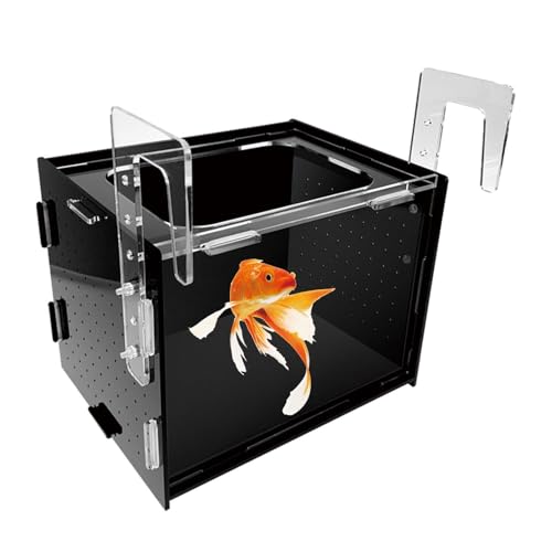 Fish Breeding Box Hatchery Sturdy Clear Acrylic Separation Incubator Isolation Box for Clownfish Betta Baby Fish Guppy, 30x20x20cm - size: 30x20x20cm