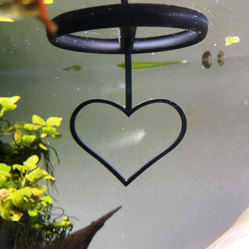 Floating Heart Betta Training Ring, Heart Active Betta Training Ring, Floating Feeder, Enrichment Toys for Aquarium Decor, Pink, 3.8in x 3.7in (Black, Pack of 2) - color: Black, size: Pack of 2